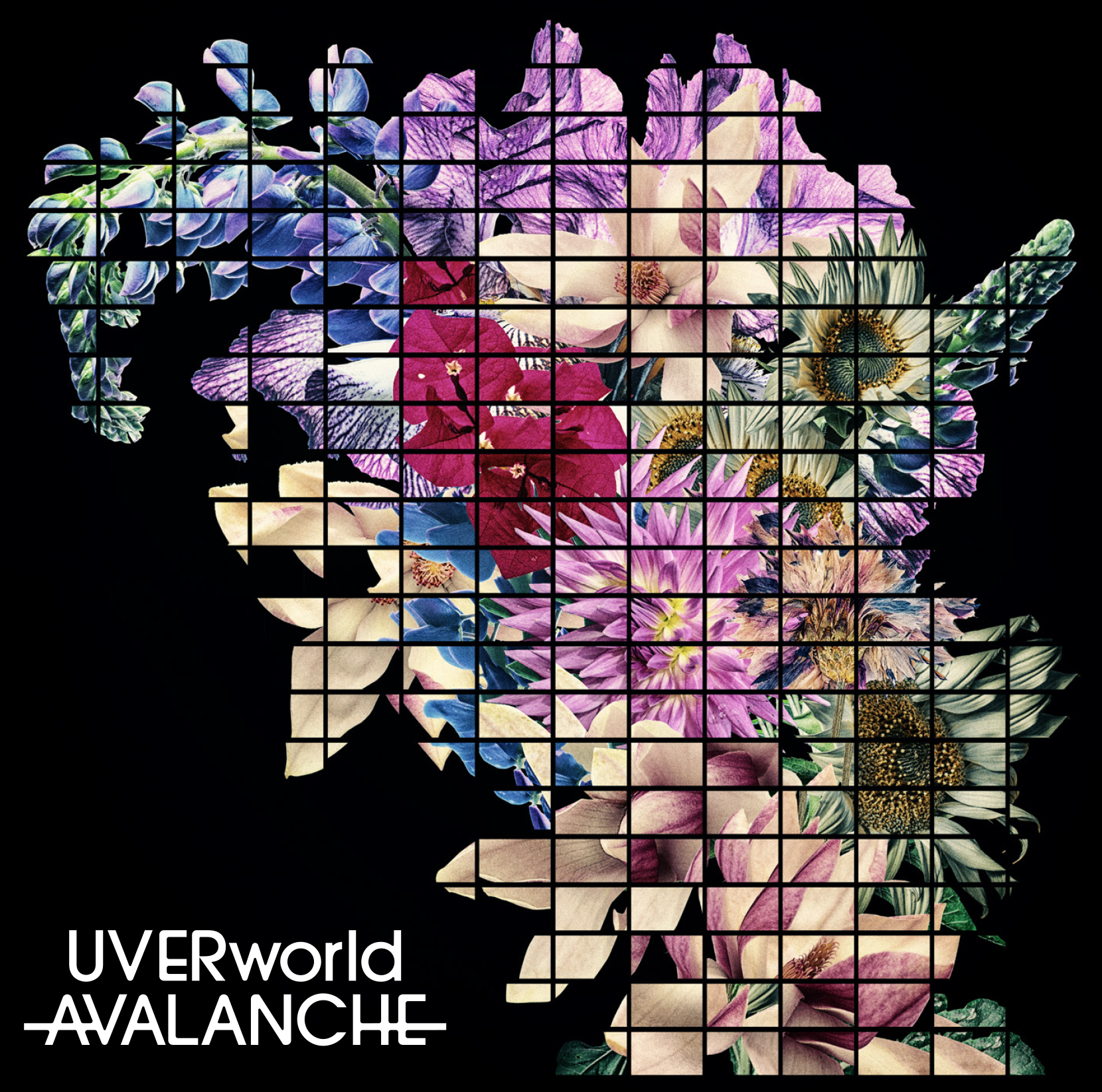 【Release】11月24日/New Single「AVALANCHE」/先行配信中